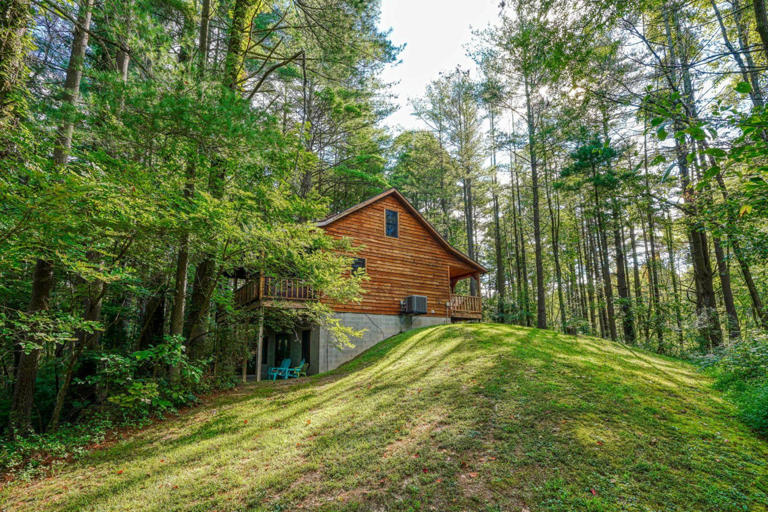 cedar pines cabin cedar pines cabin