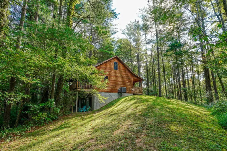 cedar pines cabin cedar pines cabin