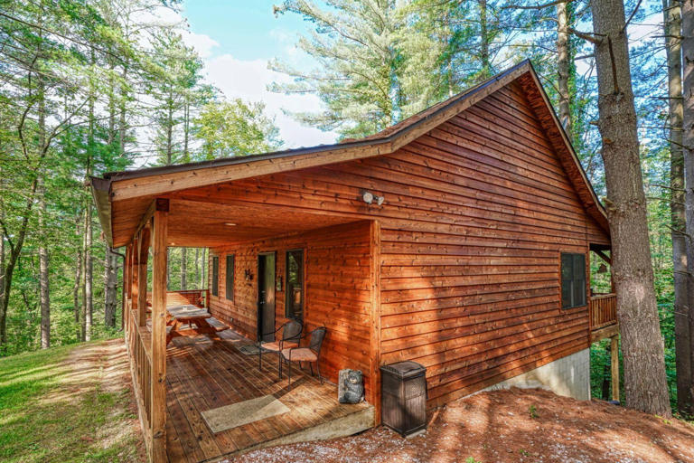 cedar pines cabin cedar pines cabin