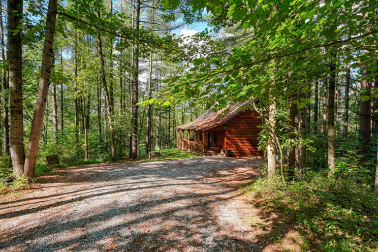 cedar pines cabin cedar pines cabin