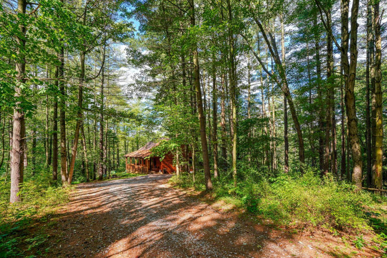 cedar pines cabin cedar pines cabin