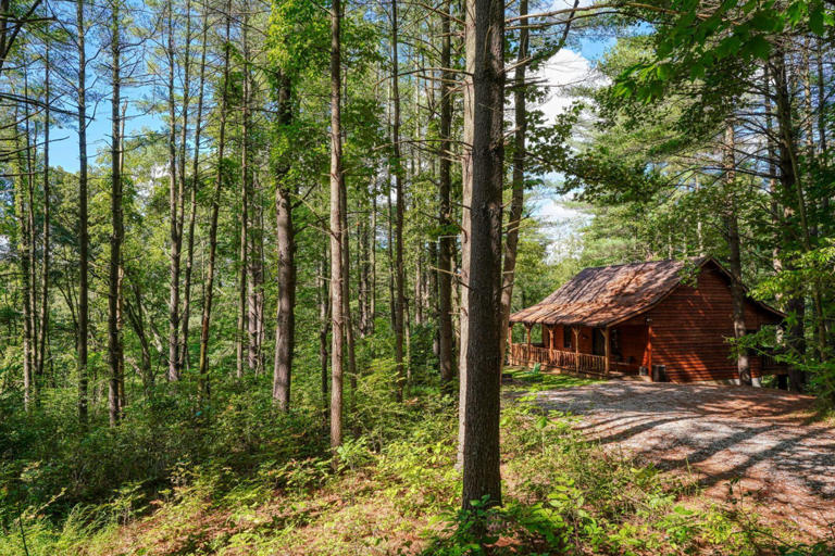 cedar pines cabin cedar pines cabin
