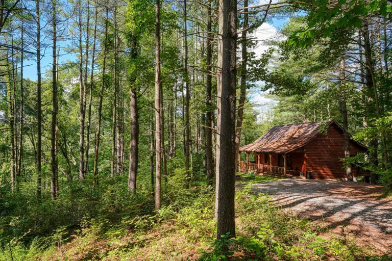 cedar pines cabin cedar pines cabin
