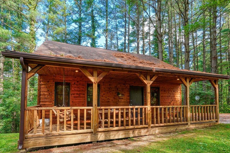 cedar pines cabin cedar pines cabin