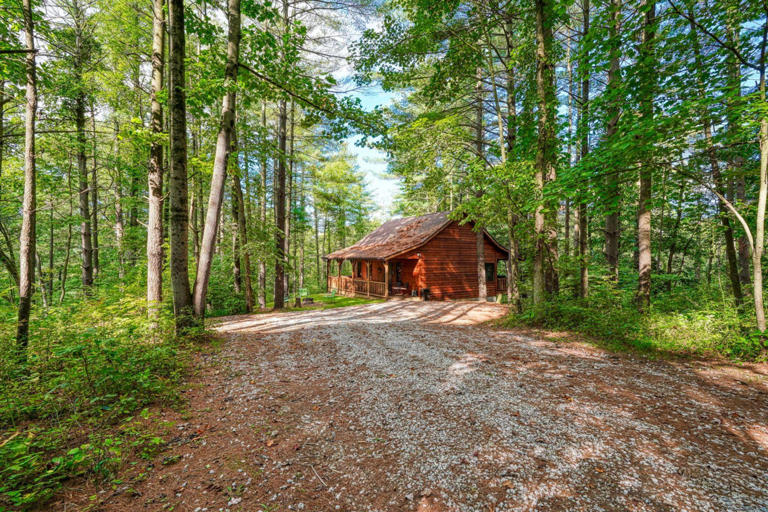 cedar pines cabin cedar pines cabin