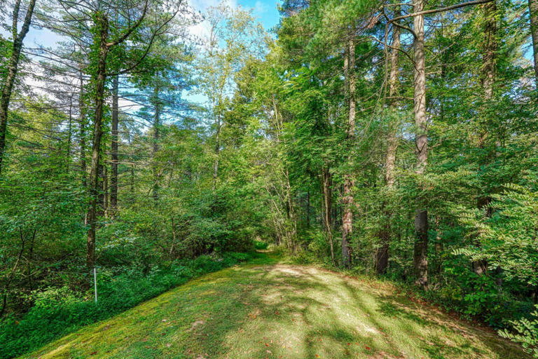 cedar pines cabin cedar pines cabin