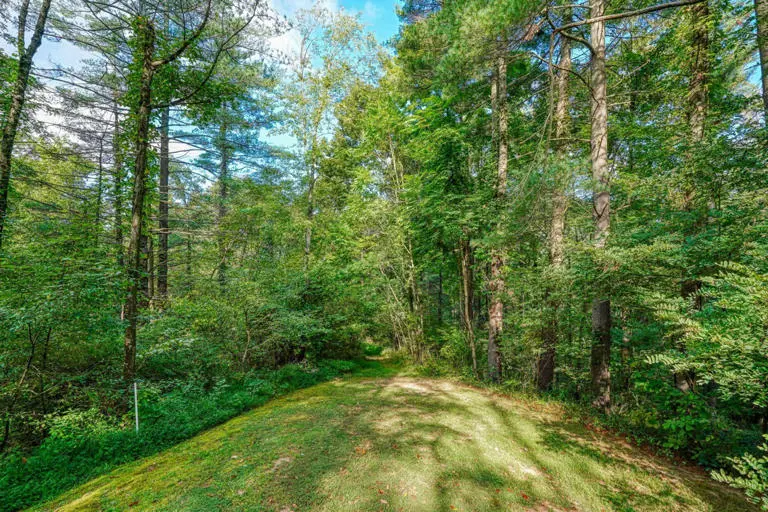 cedar pines cabin cedar pines cabin